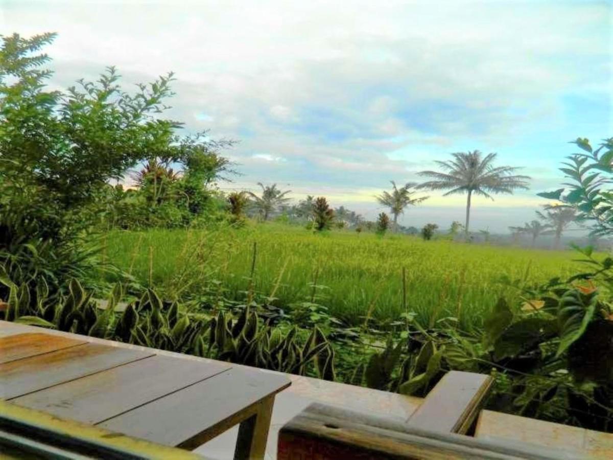 Fida Ijen Crater Guesthouse Licin Екстериор снимка